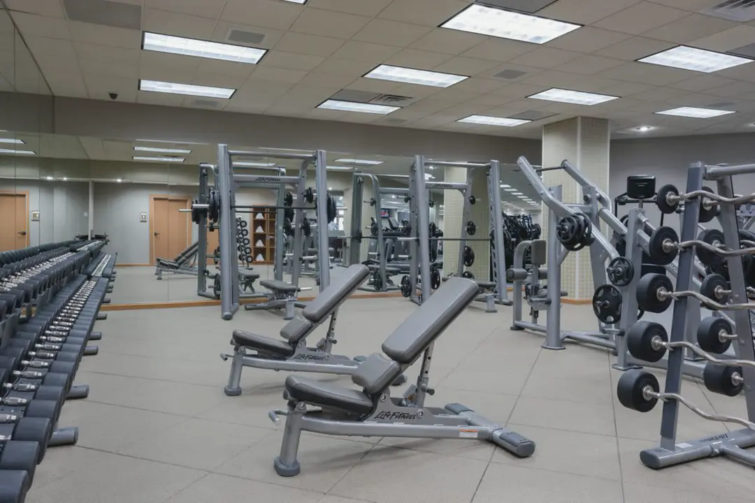 Cardio machines lined up in the resort fitness center